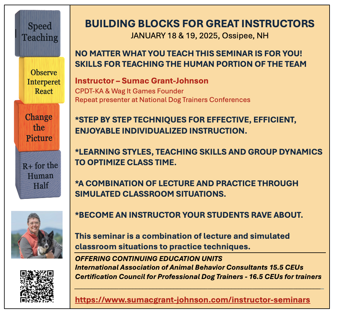 Screen Shot 2024-11-07 at 12.57.50 PM